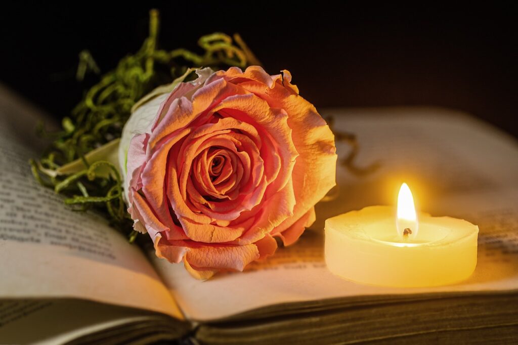 rose, candle, a book, light, candlelight, shining, burn, contemplative, grief, rose flower, consolation, meditation, reflection, mood, commemorate, flame, warmth, grief, grief, grief, grief, grief